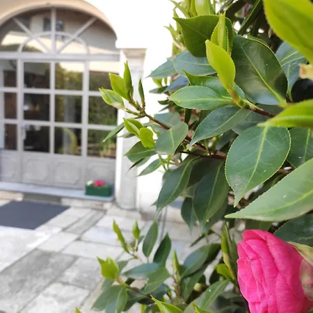 Casa Lägenhetshotell